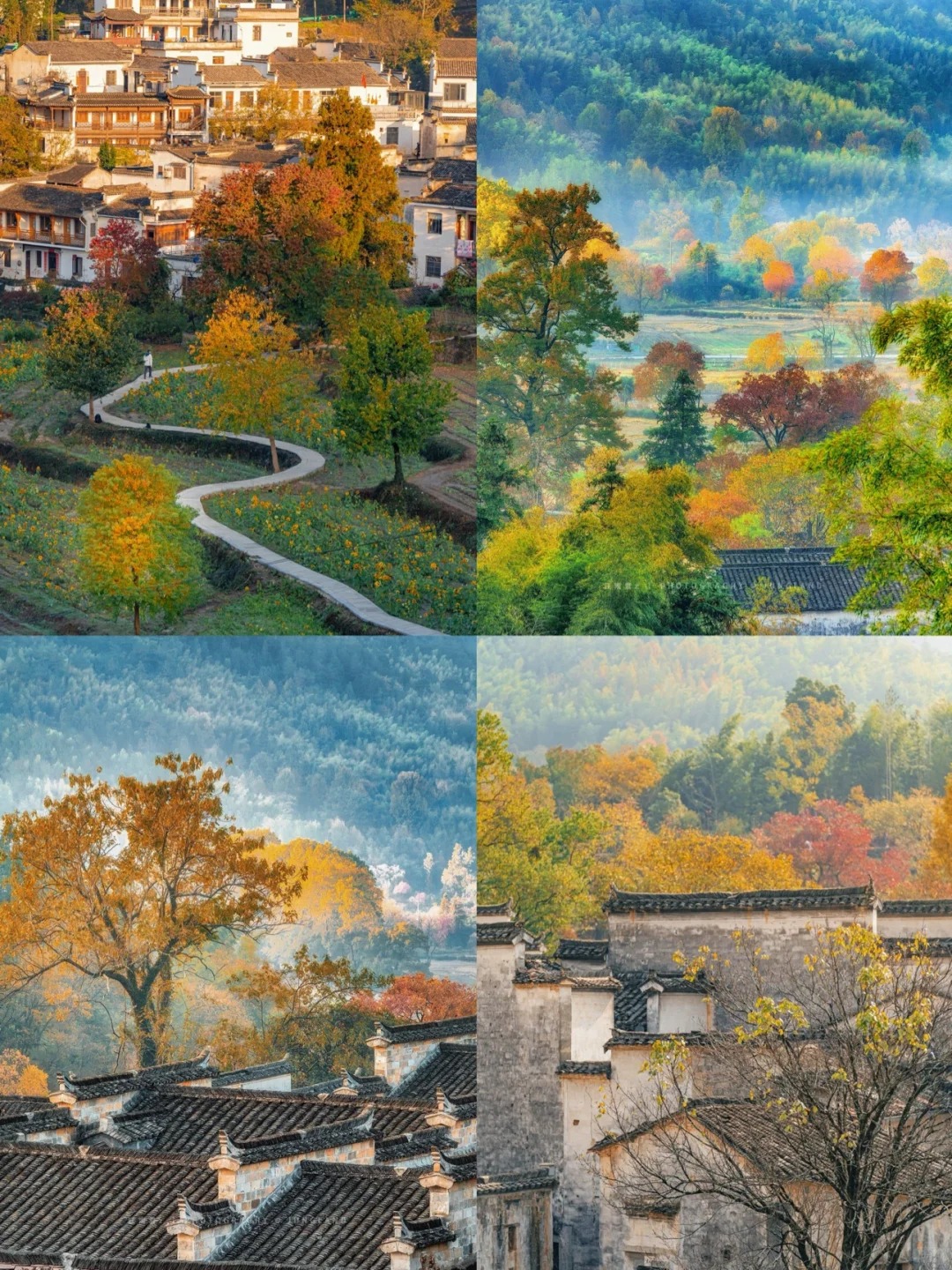 驱车300 公里，只为领略塔川秋色！_2_喵喵汪的旅行日记_安徽徽州-来自52tours 我爱旅游网